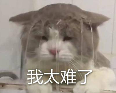 勁爆！新華電腦教育服務(wù)旗艦店正式入駐天貓，課程1折秒殺！