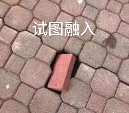 新華互聯(lián)網(wǎng)科技正式入駐Bilibili！會摩擦出什么樣火花呢？